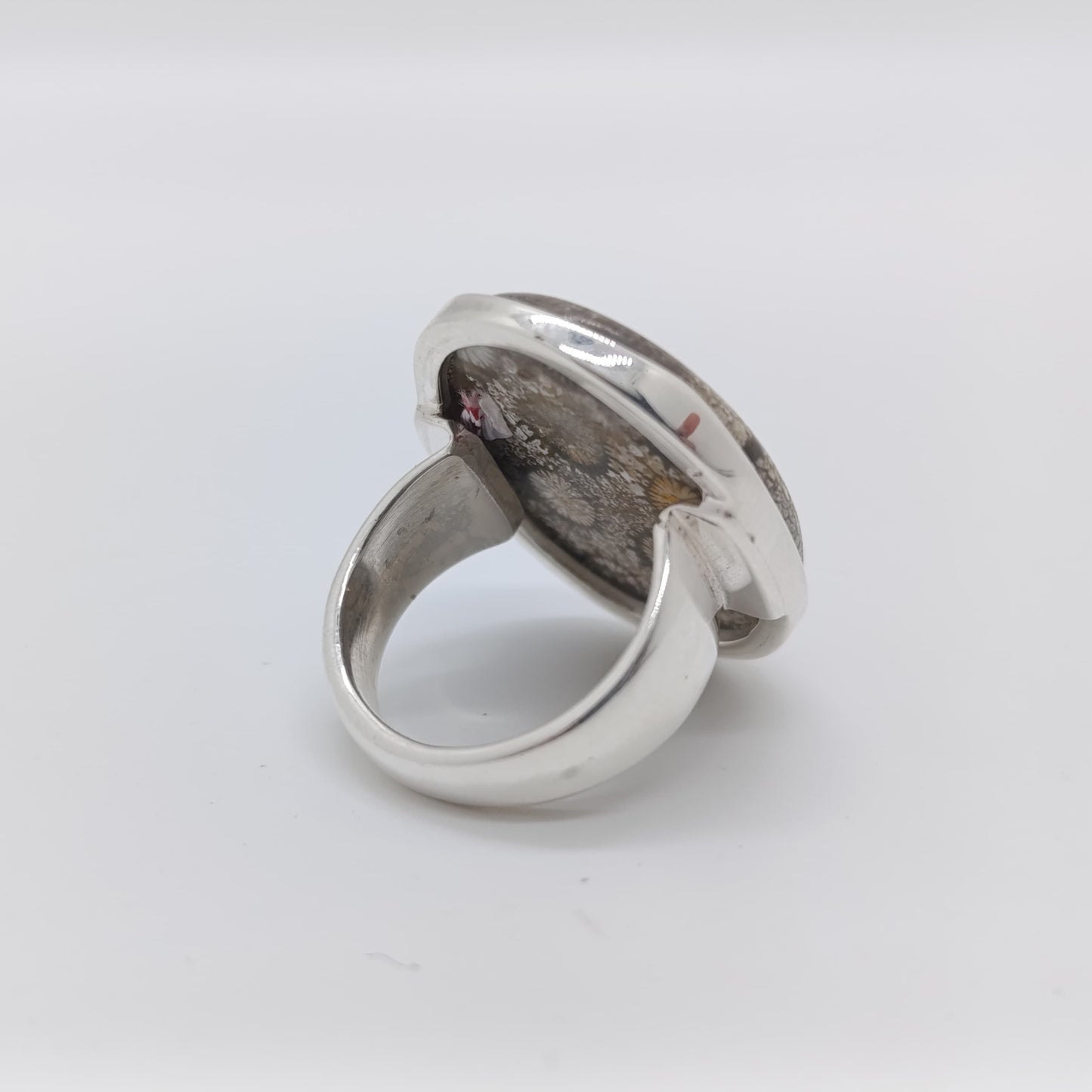 Anillo Fosil Coral Medusa Plata 925