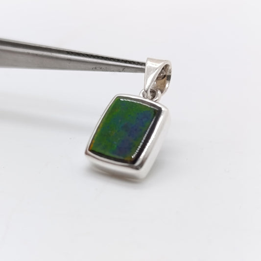 Colgante Ammonite Canadiense Hecho a Mano