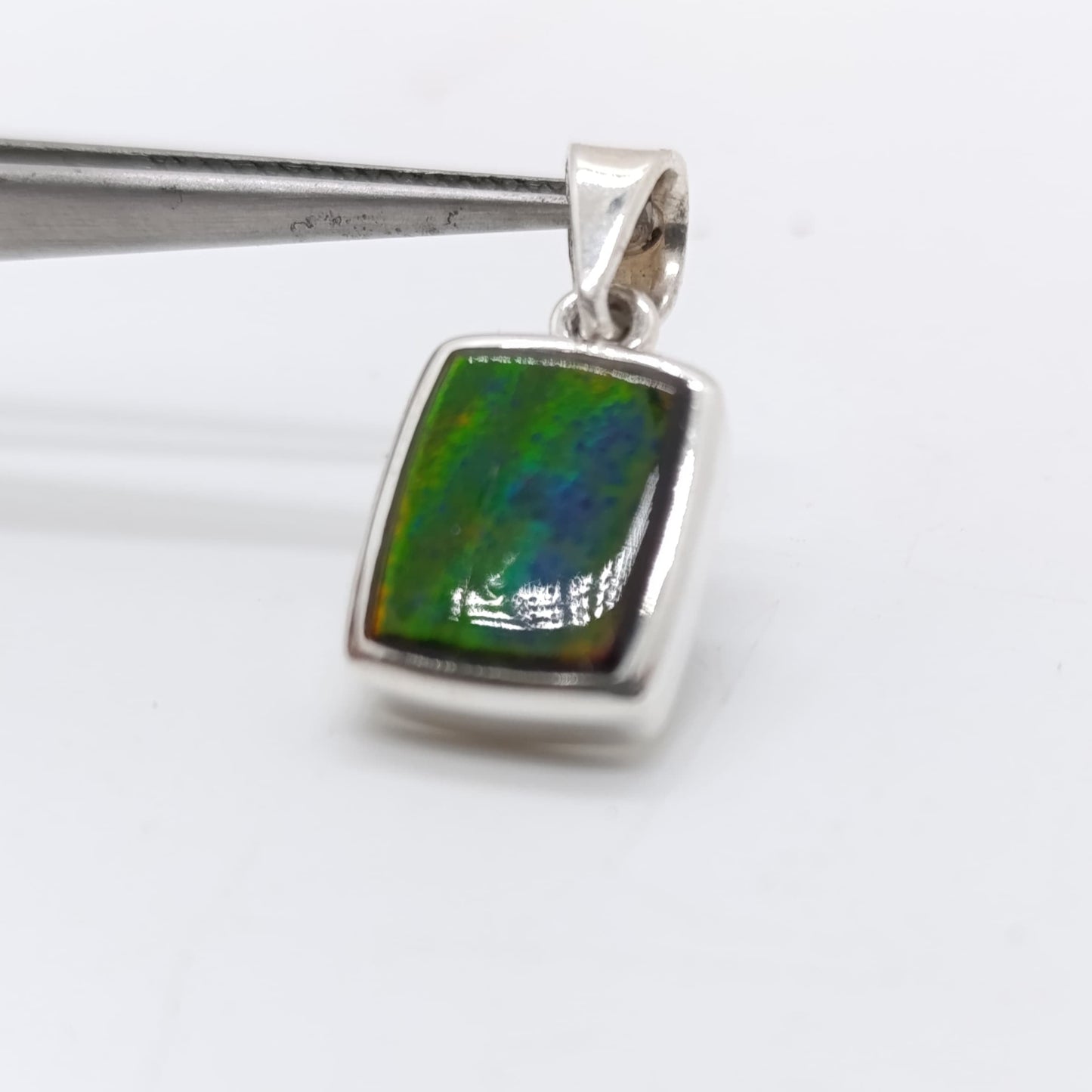 Colgante Ammonite Canadiense Hecho a Mano