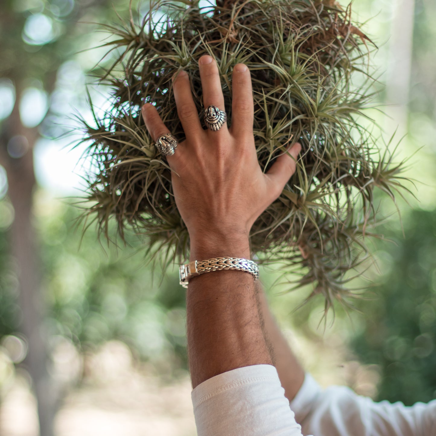 Pulsera Kouti - Plata Luz