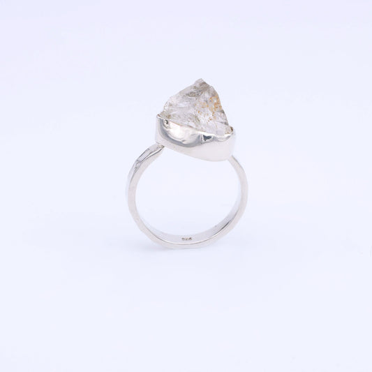 Anillo Nature - Plata Luz