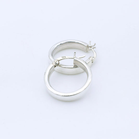 Pendiente Fern S - Plata Luz