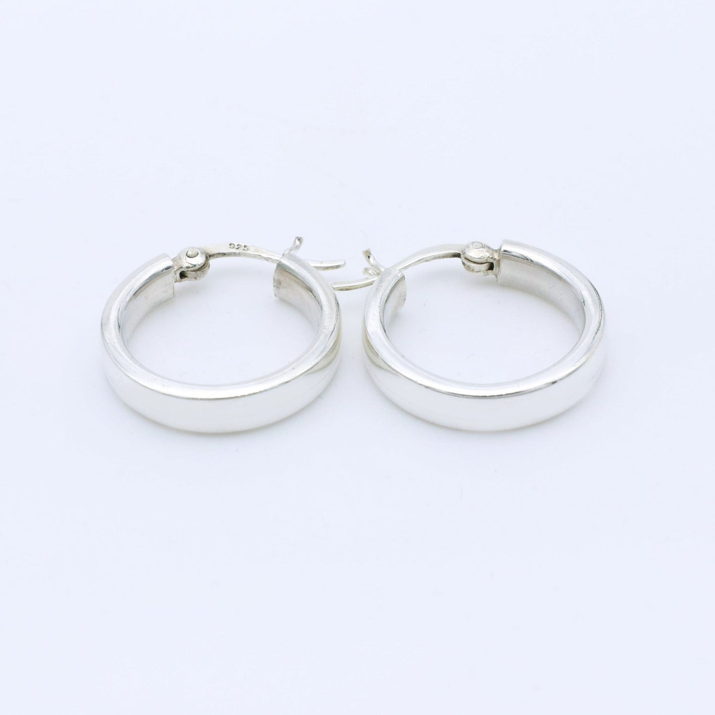 Pendiente Fern S - Plata Luz