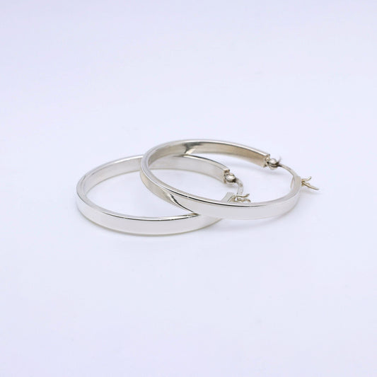 Pendiente Fern L - Plata Luz
