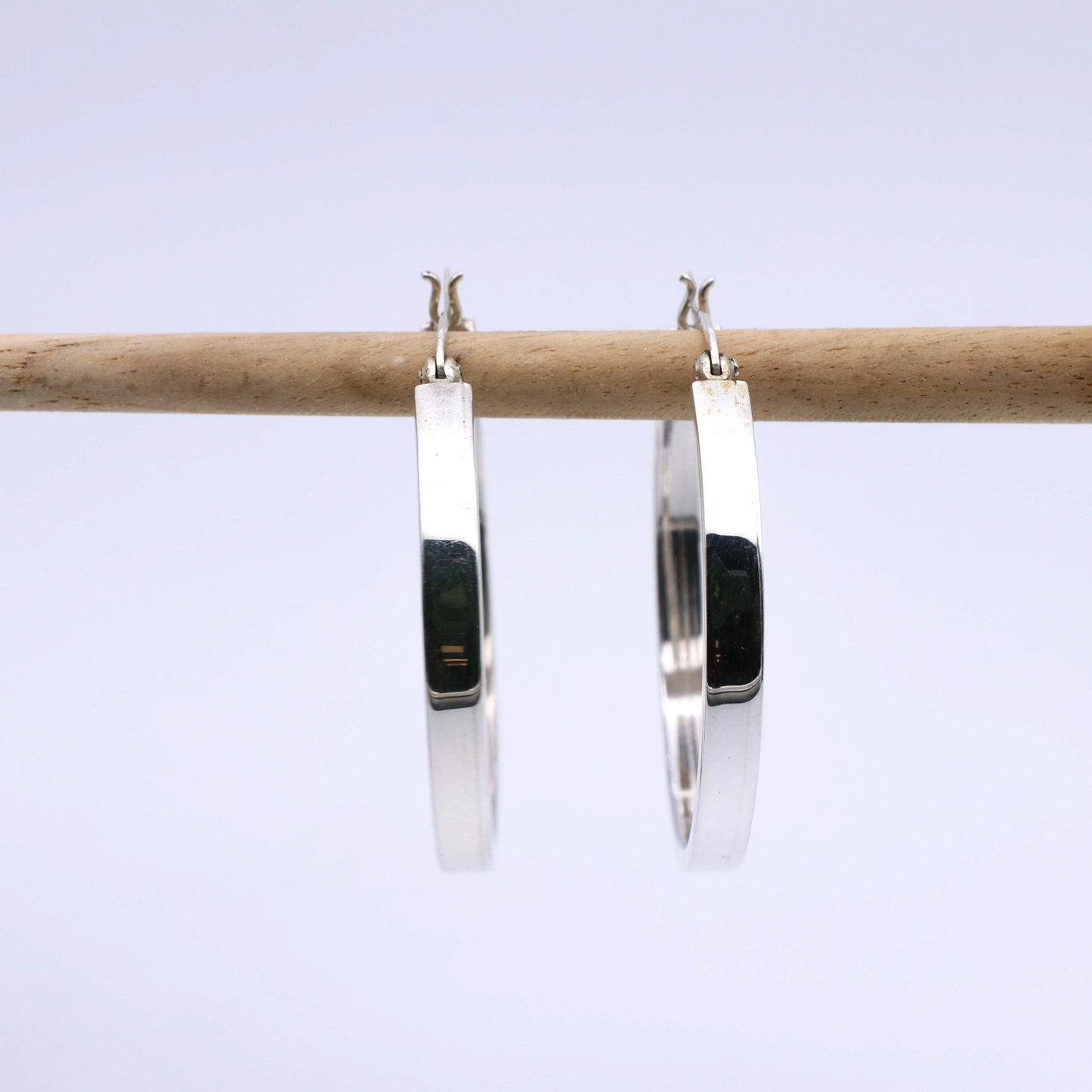 Pendiente Fern L - Plata Luz