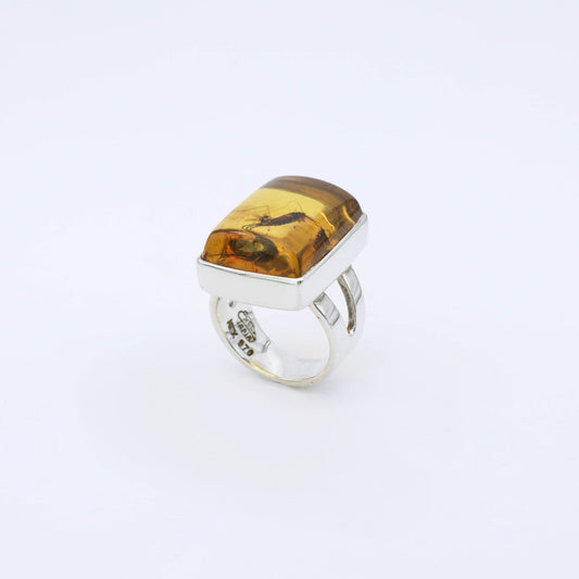 Anillo Ambar Mosquito