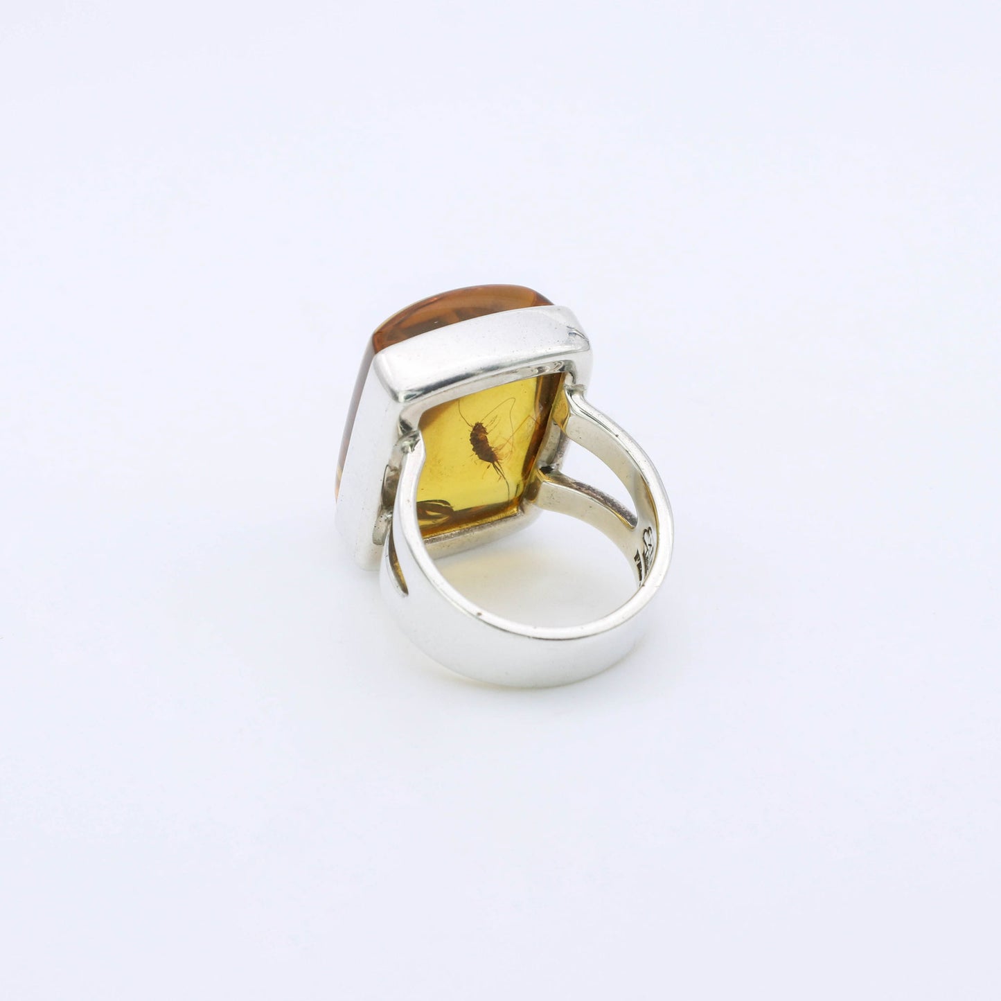 Anillo Ambar Mosquito