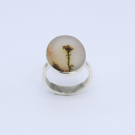 Plata Luz Anillo Ágata Tetri 01