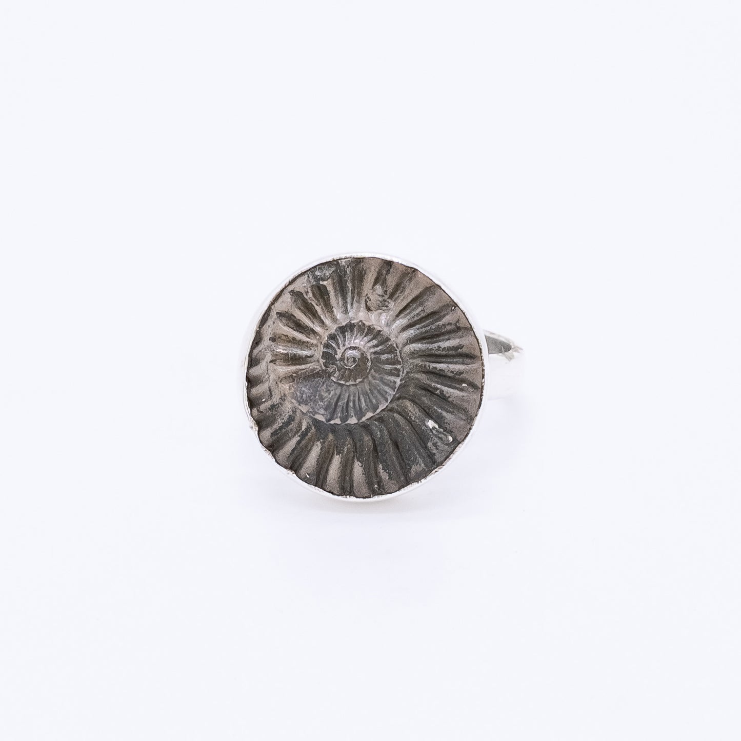 Anillo Espiral Hecho a Mano Plata 925 y Fosil de Amonite Natural