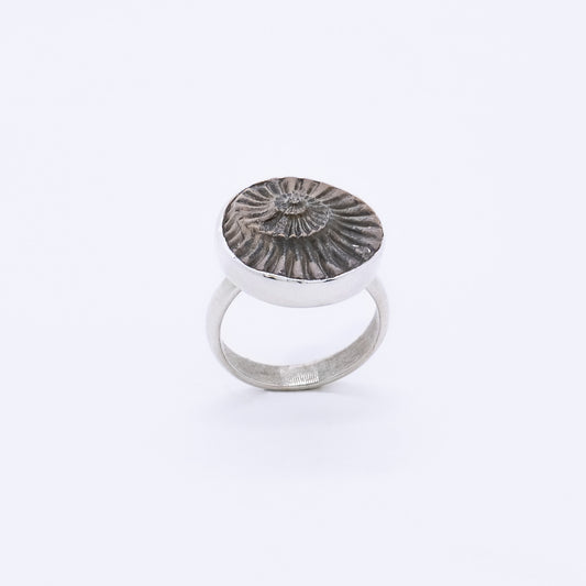Anillo Espiral Hecho a Mano Plata 925 y Fosil de Amonite Natural