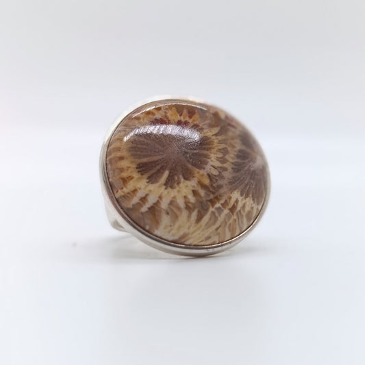 Anillo Fósil de Coral Redondo