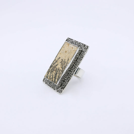 IC: ANILLO PLATA PIROLUSITA