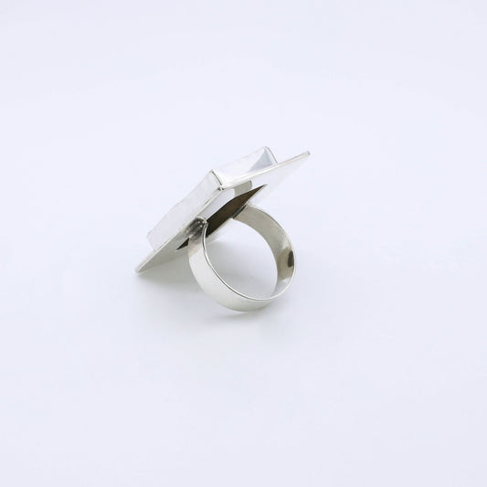 IC: ANILLO PLATA PIROLUSITA 1