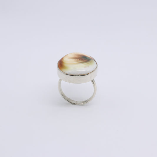 Anillo Plata Concha