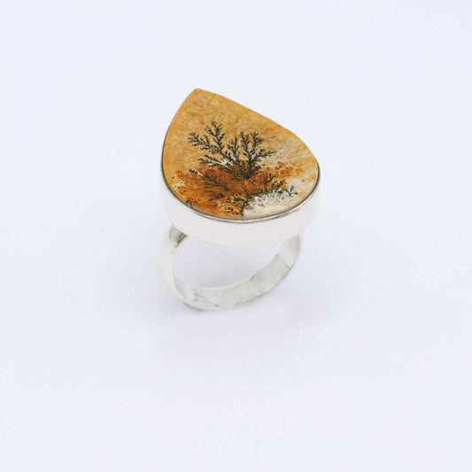 IC: ANILLO PLATA PIROLUSITA